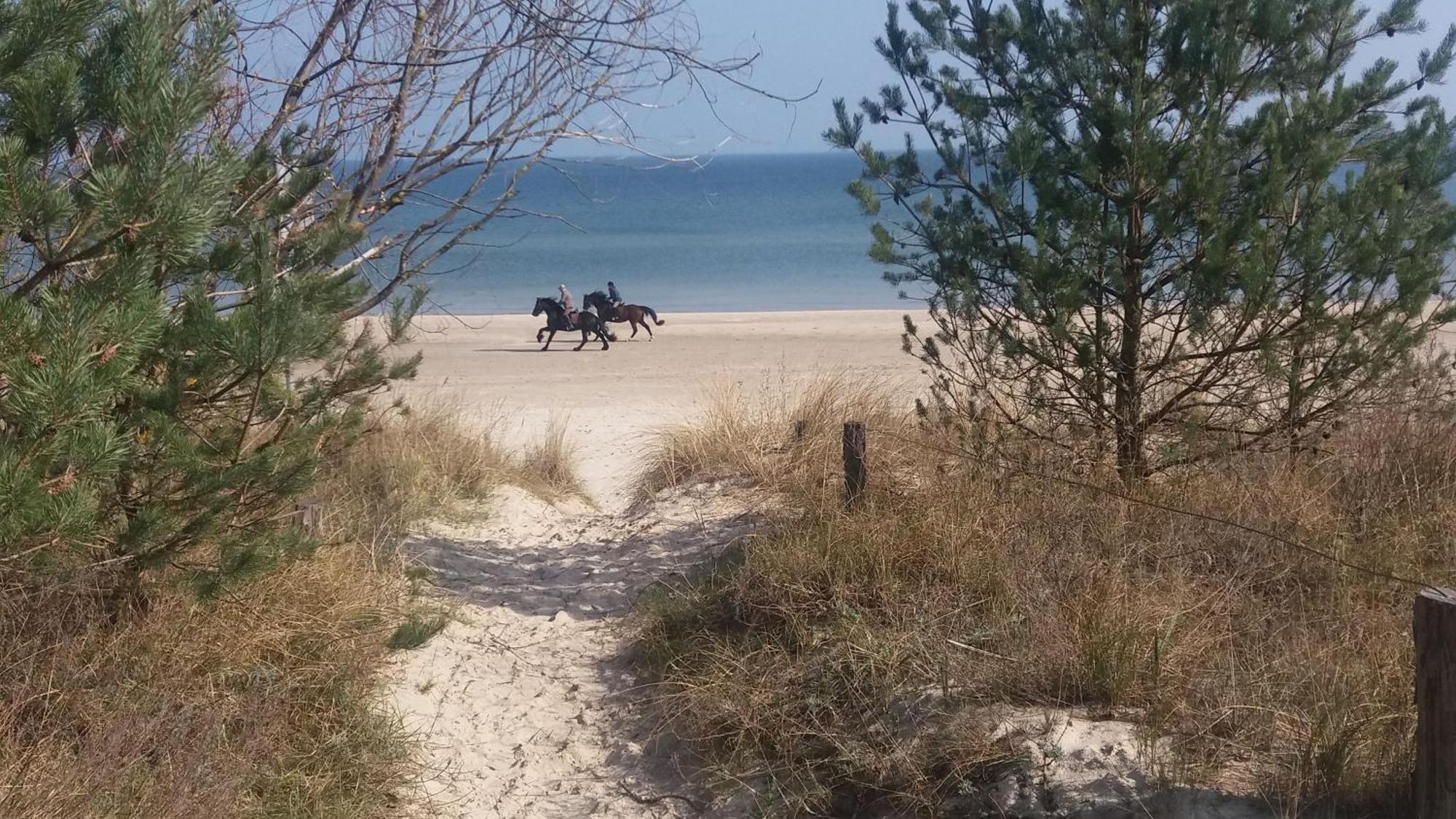 Ostseemuschel Karlshagen Экстерьер фото